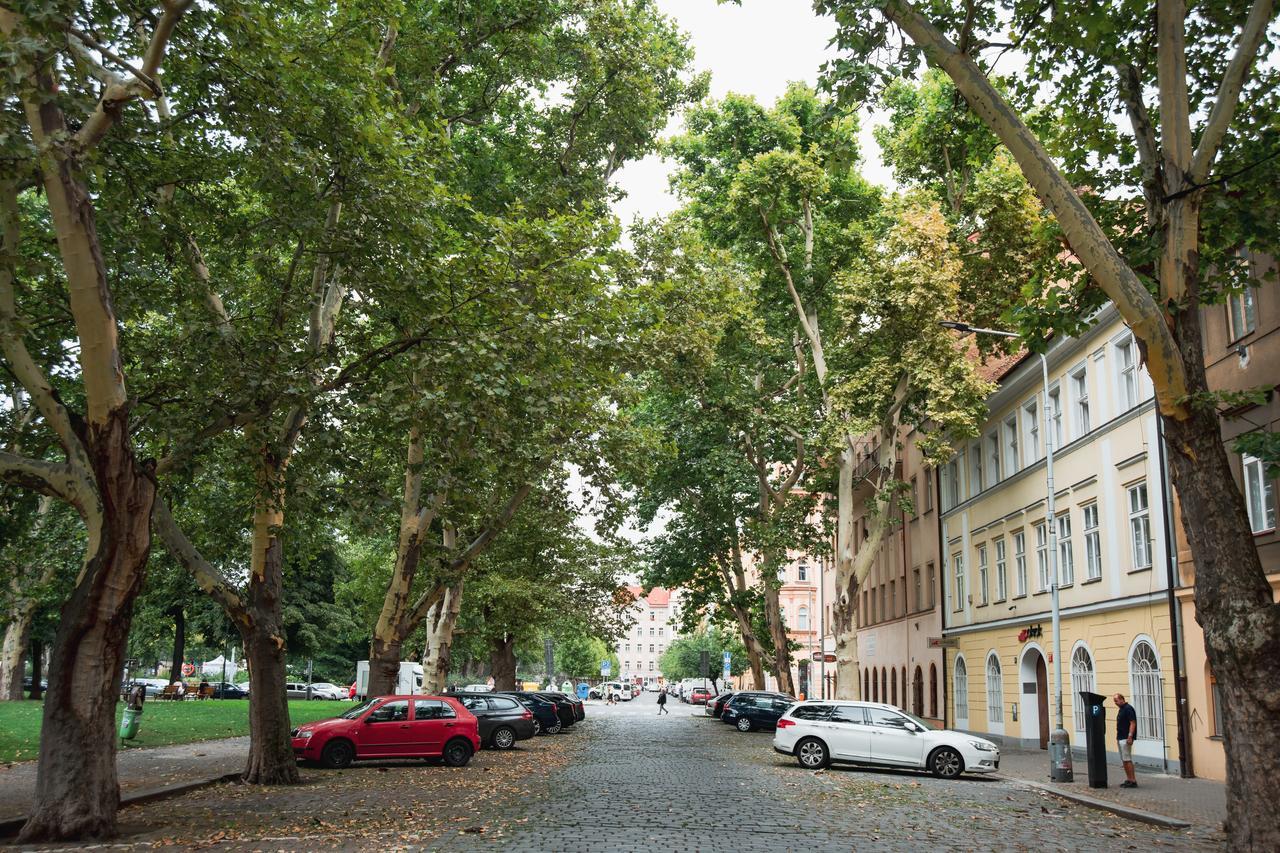 Gesse Kollarova * Прага